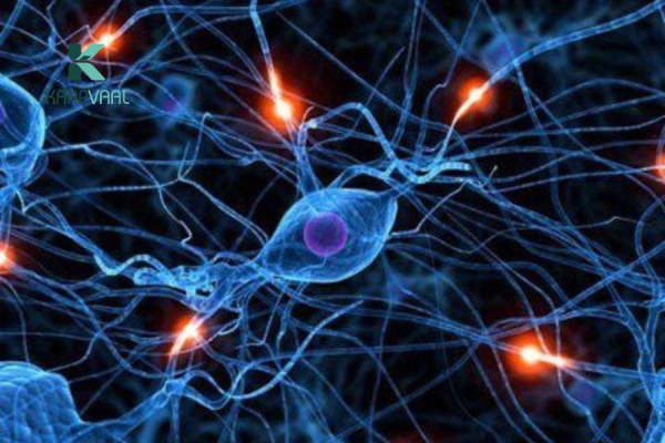 Thần Kinh Đái Tháo Đường