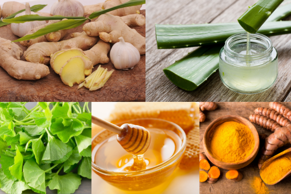 cách trị sẹo bỏng từ thiên nhiên